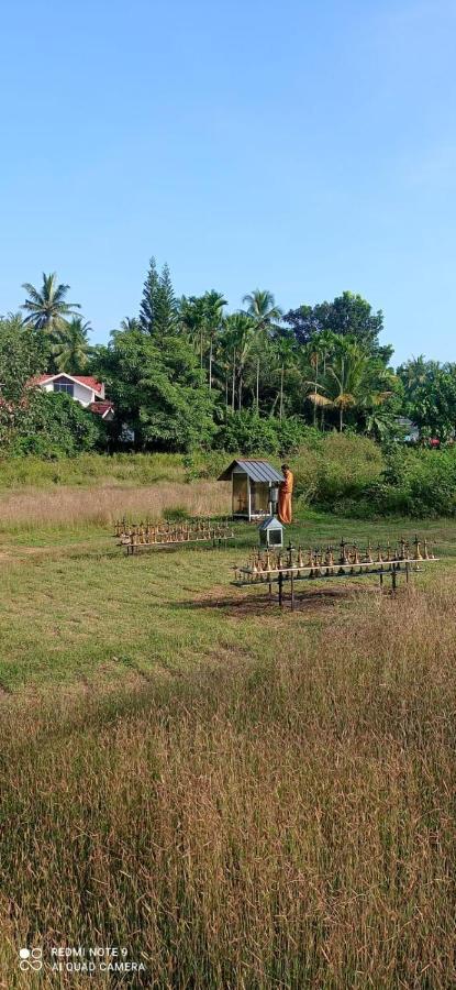 Narayanalayam-Vintage Retreat-Homestay & Rest'Inn Каннур Екстер'єр фото