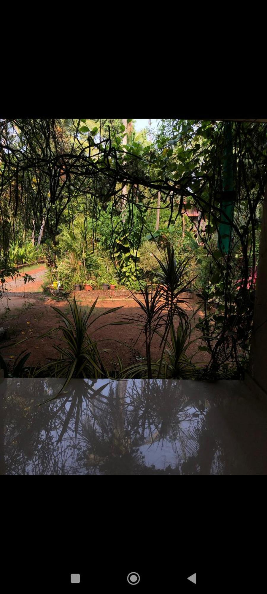 Narayanalayam-Vintage Retreat-Homestay & Rest'Inn Каннур Екстер'єр фото